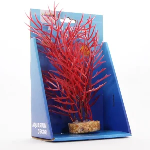 Yusee Roślina – Rotala Colorata 20cm