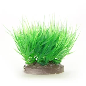 Yusee Roślina – Trawnik Eleocharis wys. 4-6cm