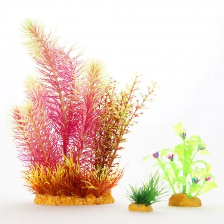 Yusee Zestaw Roślin – Czerwona + Liściaste - Image 2