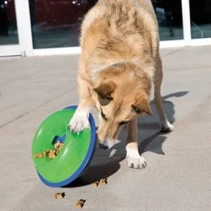 Zabawka dla psa KONG Tiltz L dla dużego psa
