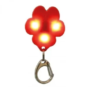 Zawieszka świecąca dla psów 3,5 cmx x 4,3 cm ładowanie USB
