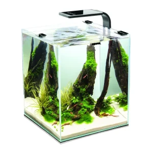 Zestaw Aquael Shrimp Set 10l – Black