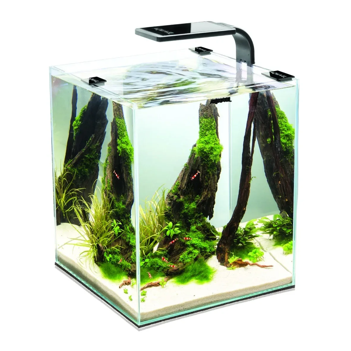 Zestaw Aquael Shrimp Set 10l – Black