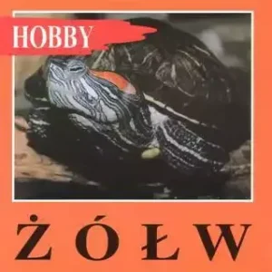 ŻÓŁW OZDOBNY- Beata Kisiel , seria Hobby