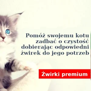 Żwirek dla kota